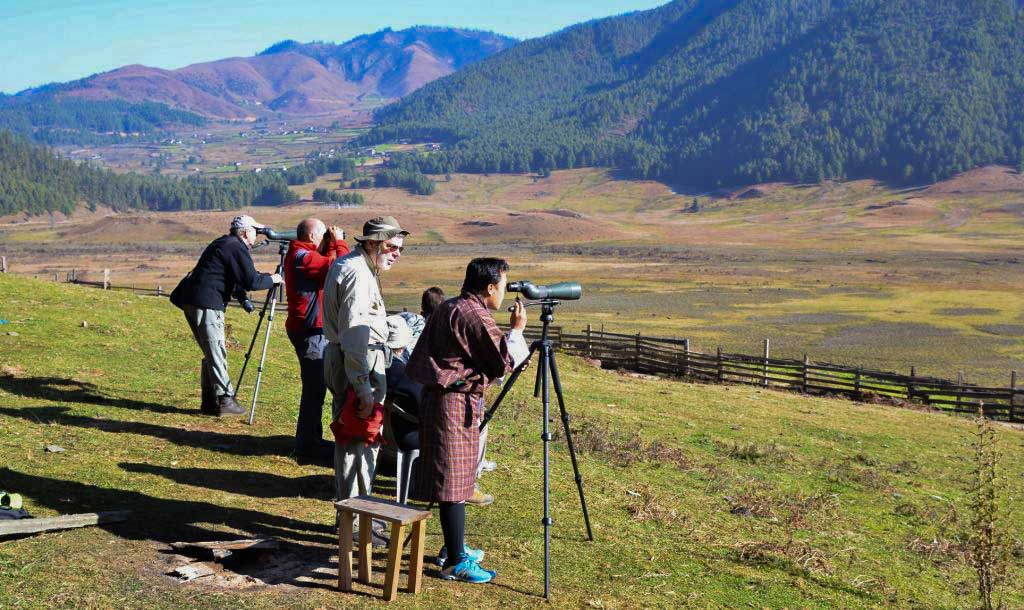 birdwatching di Bhutan